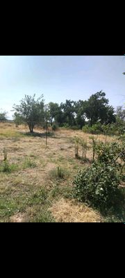 Продаётся дача Пскенском раёне 36 сотак.
