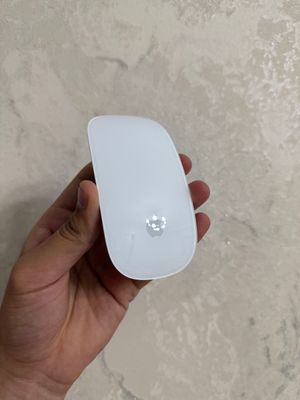 Megic Mause Apple