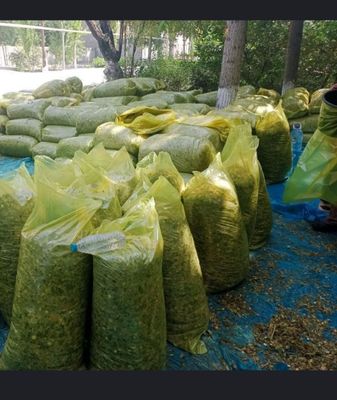 Силос,20кгдан маккали,18500сум,акелишамиз ,доставкаси бор