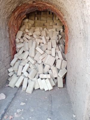 Пишган Гишт Сонига халол