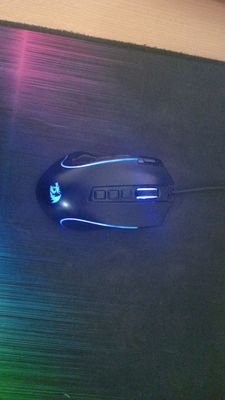 Mishka redragon kovrik