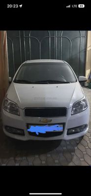 nexia3 2022 kraska tozza
