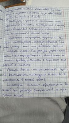 Пишу конспекты , рефераты , рисунки, не дорого, быстро , красиво