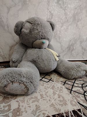 Теддй айик