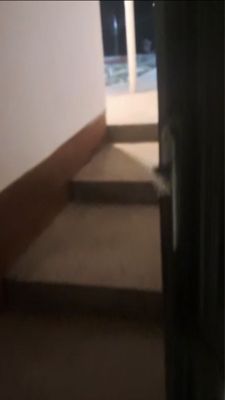 Узгариш учаска 2ом 350$