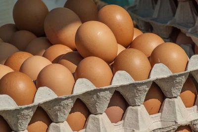 Tuxum 2 korobkadan uyog’iga dostavka tekin
