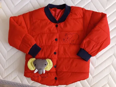 kurtkacha 2-3 yoshlilarga togri keladi