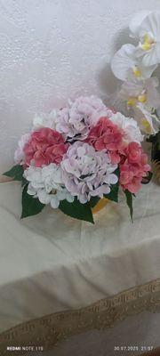 Sakura guli