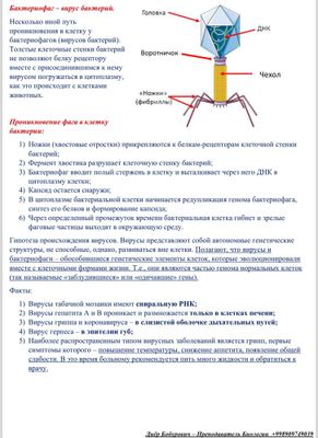 Репетитор по биологии