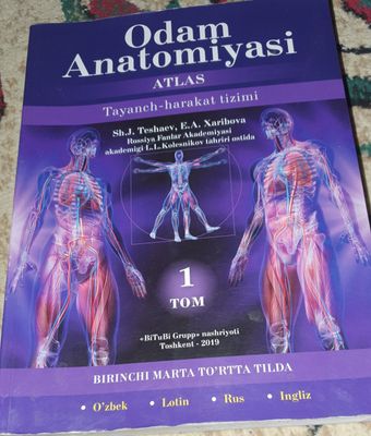 Anatomy orginal kitob