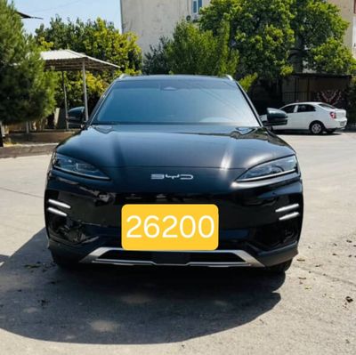 BYD chempion 2024