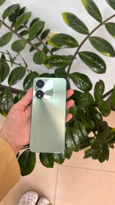 Honor x5 plus