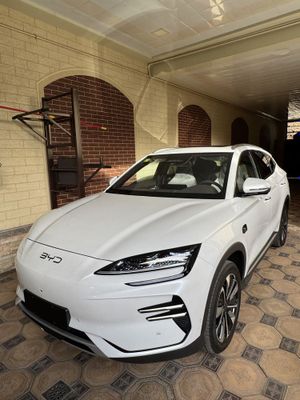 Byd Smart 605 Ev Full
