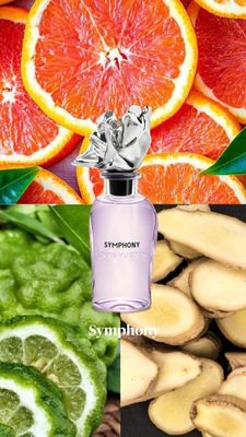 Symphony Louis Vuitton Raspiv Pacific chill