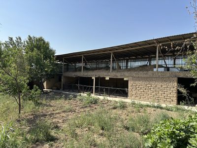 Участка сотилади Тошкент вилояти Янгийўл тумани 8 сотох