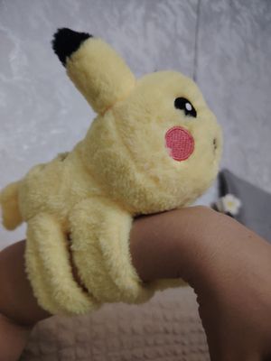 мягкий игрушка
