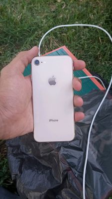 iphone 8