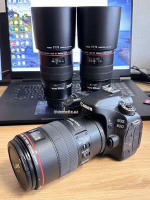 Canon EOS 80D Body + Canon EF 100mm f/2.8L Macro IS USM