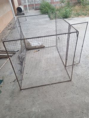 Tovuq katak sotiladi