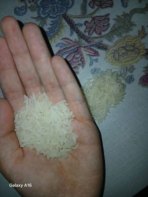Lazer burunch sotiladi