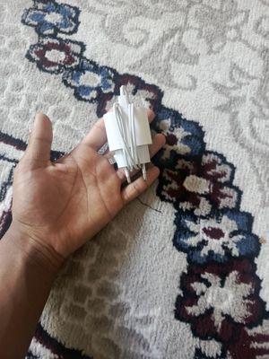 Iphone zaradchik orgenal 12max