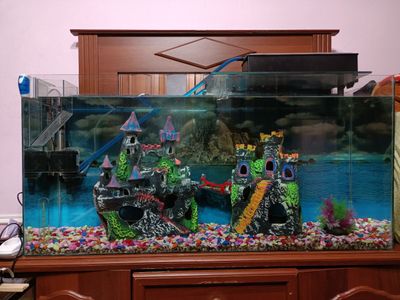 Продается большая аквариум. (Akvarium sotiladi)