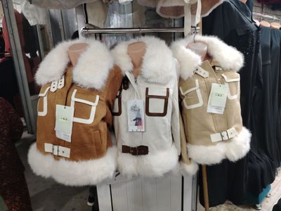 Modniy Kurtka