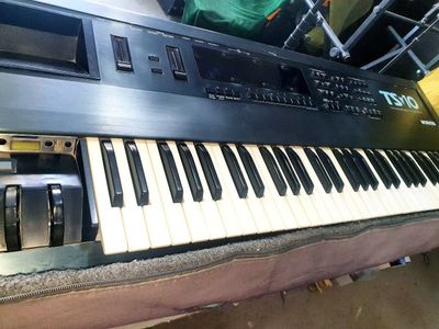 Enesoniq Ts 10 fleshka bor