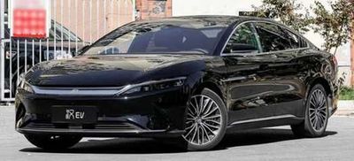 BYD Han nasiyaga va naxtga