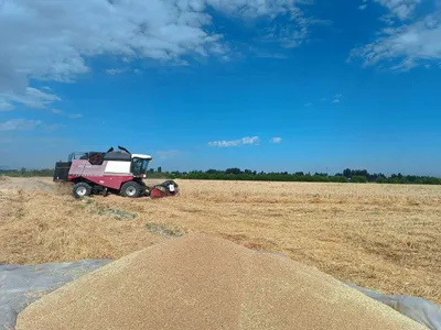 Продается зерноуборочный комбайнй VECTOR 410