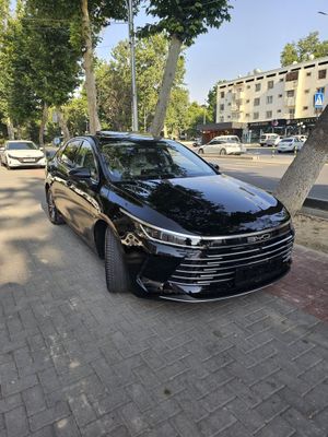 BYD Chazor idial