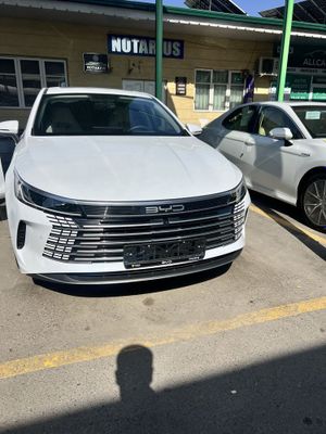 Byd chazor 1 pozitsa acriv