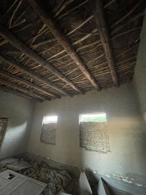 Qiziltapa tuman ruzibiyon qishloq
