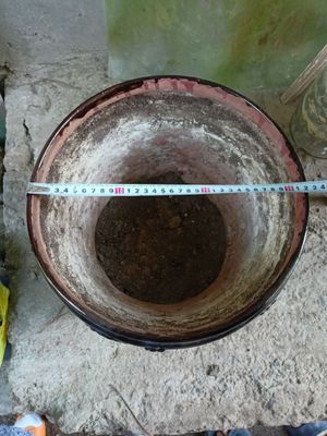 Горшок для цветов