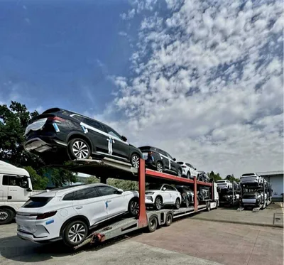 BYD song plus chimpion 2025