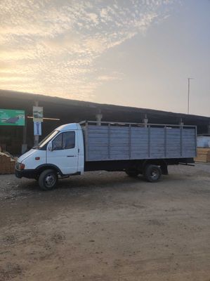 gazel bartavoʻt uzunligi 5 metir