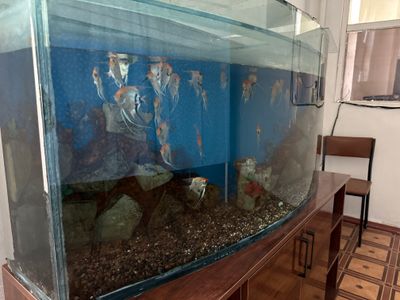 Аквариум 300 литров