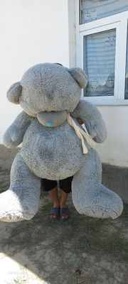 Тедди Мишка. Ayiqcha Teddy