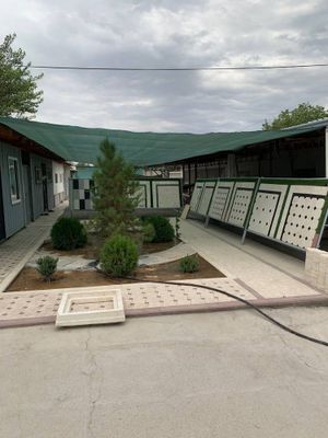 Burschatka sex tayyor sotiladi , 67000$ kelishamiz.