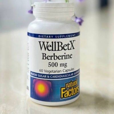 WellBetX Berberine 500mg