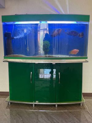 Akvarim sotiladi
