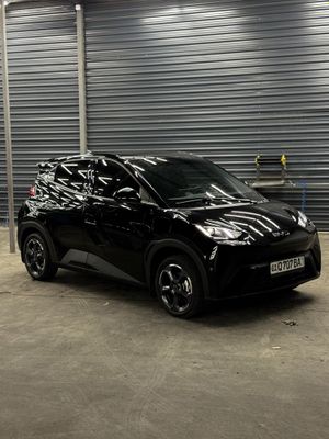 Byd Seagull Full 2025/25