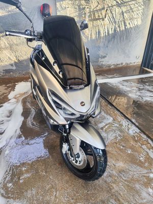 Gst tiger skuter arzon narxda