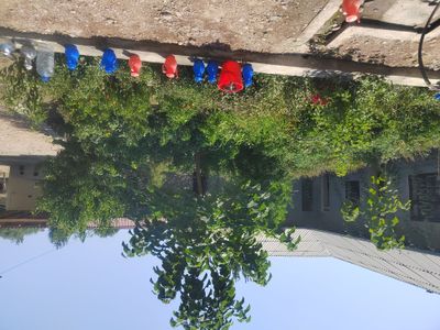 Shifobahsh qum harqanday dardga davo hudo holasa ihlos qilib tushilsa