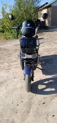 drongo skuter sotiladi