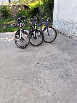 Velasepet sotiladi