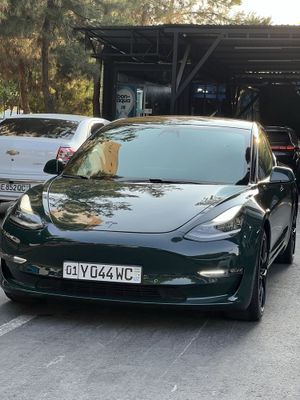 Tesla modul 3 dual mator