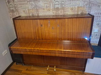 Calssic Piano piyanina