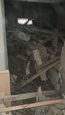 Продаётса дрова Ташкент Бектемирский район