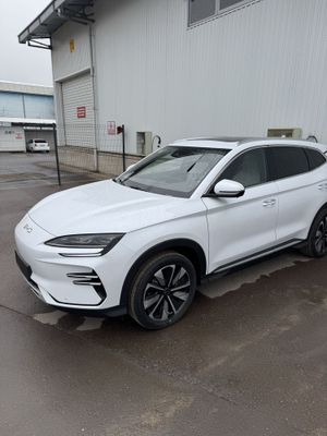 BYD chempion 2025 restaling